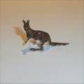 Corgi Toys  302 Hillman Hunter Rally Kangaroo Figure for Diaorama
